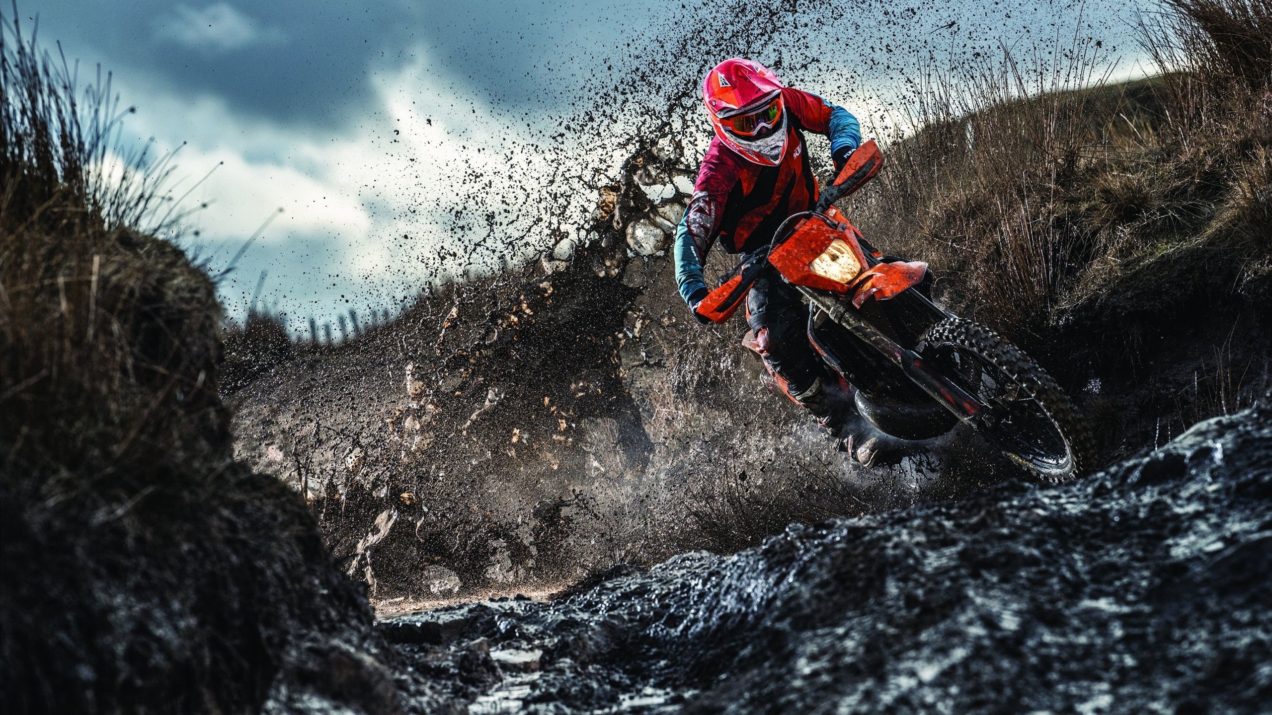 FaZe被粉丝呼吁加入LCS赛区，faze为什么不踢了allu