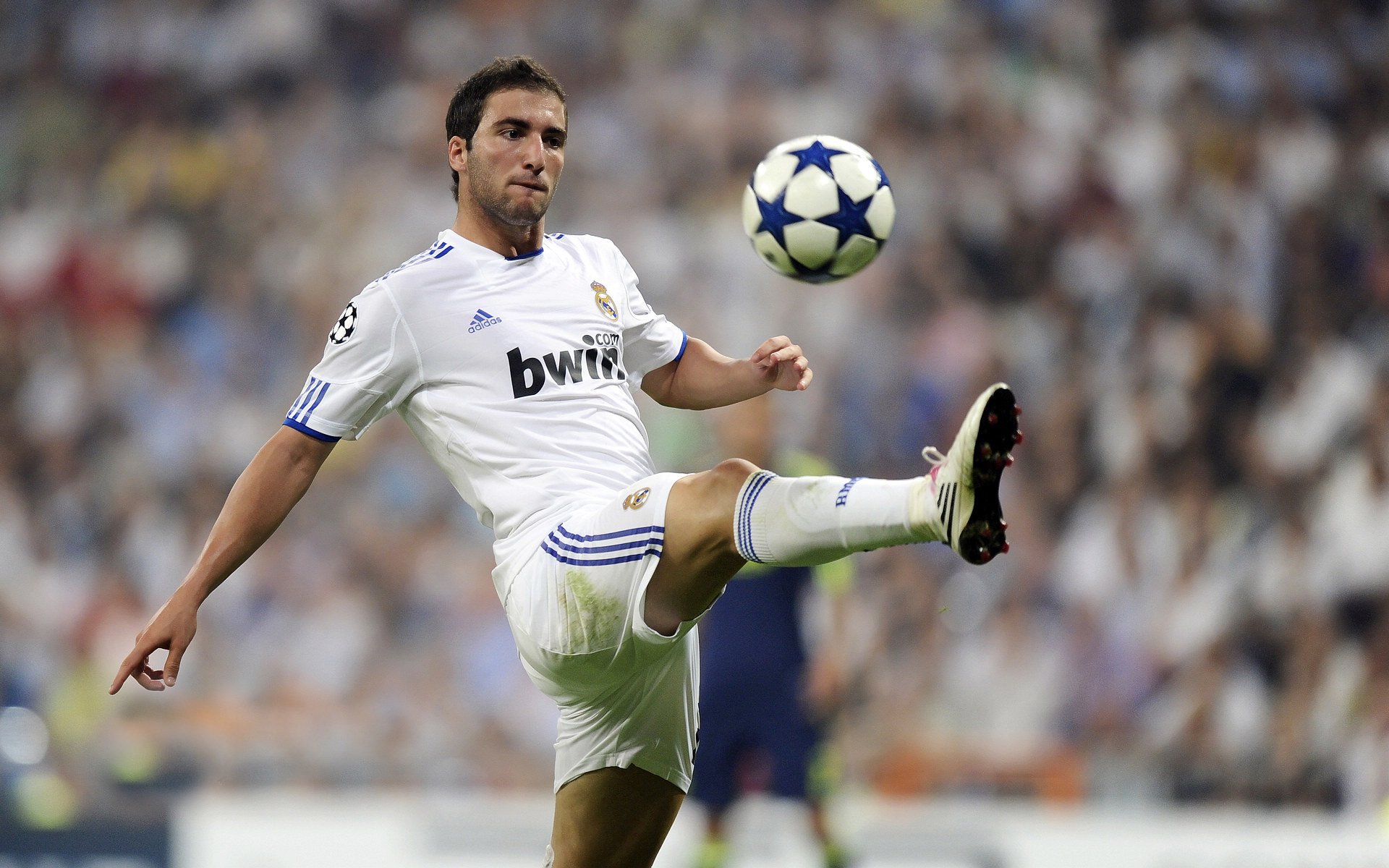 开云·体育官方网站入口-多特蒙德球队实力愈发强大，一鼓作气连胜征服对手，多特蒙德队球星